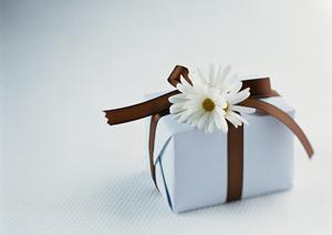 プロも満足できる工具販売専門店