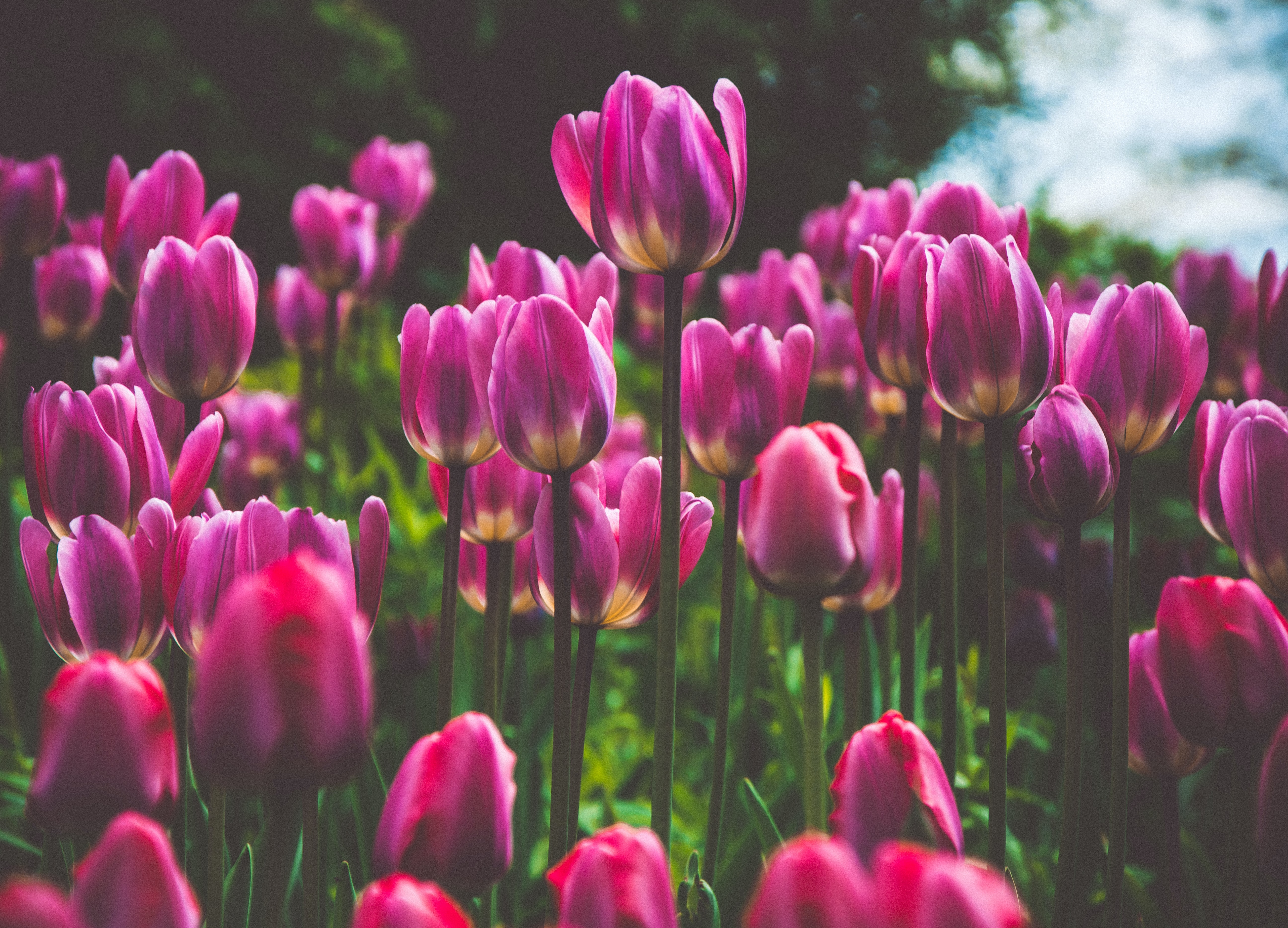 流行の通販事情について